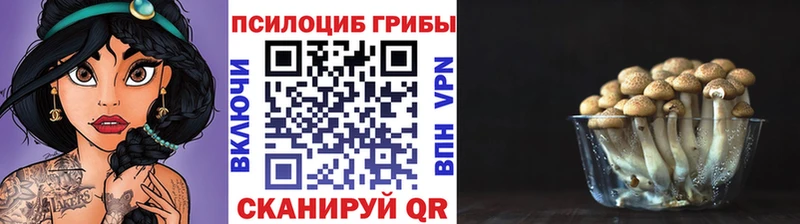 Псилоцибиновые грибы прущие грибы  Верхоянск 